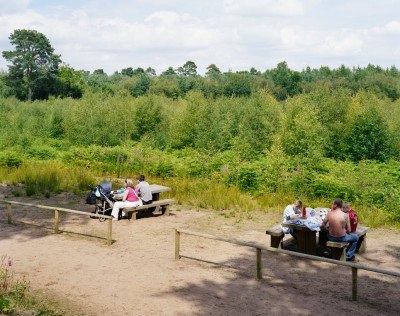 Delamere Forest Park, Cheshire, 13th July 2008