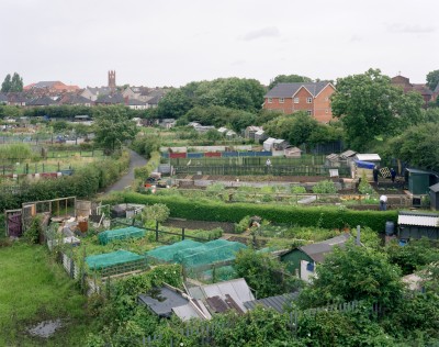 Whitehouse Allotments, Middlesbrough, North Yorkshire, 11th August 2008